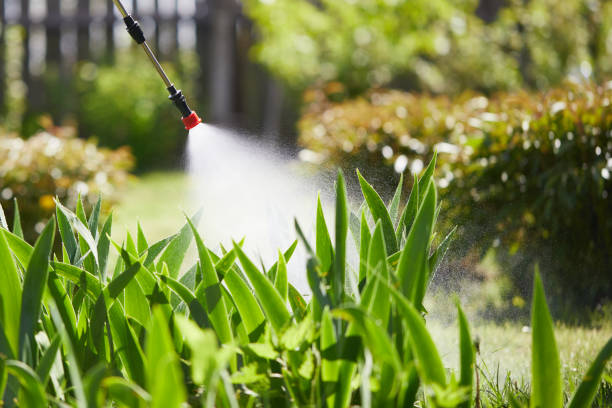 24/7 Emergency Mosquito Control experts in Draper, UT