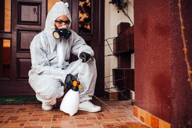 Reliable Mosquito Control contractor in Draper, UT by Nex Pest Control